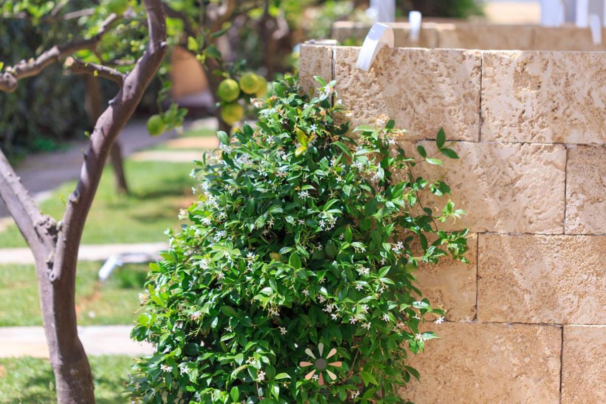 Agriturismo Tenuta Margherita توري لابيلو المظهر الخارجي الصورة